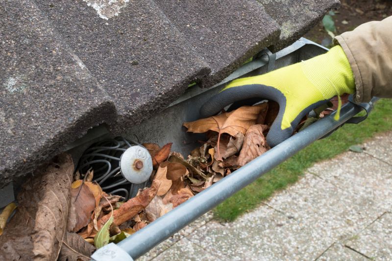 Clogged Gutters
